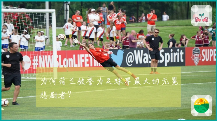 为何荷兰被誉为足球界最大的无冕悲剧者？
